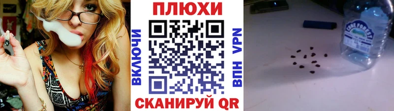 ГАШ Premium  это телеграм  Нурлат 