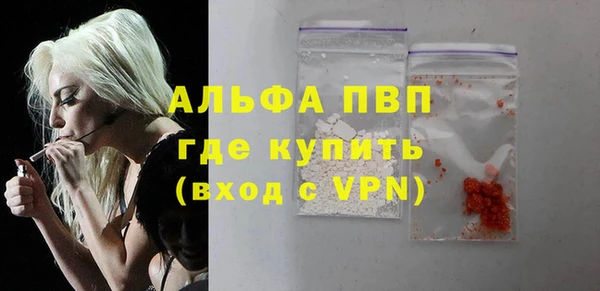 ECSTASY Бородино
