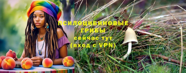 ECSTASY Бородино
