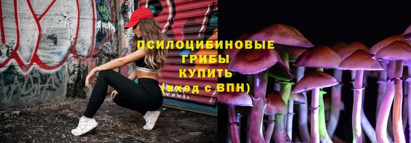ECSTASY Бородино