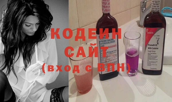 ECSTASY Бородино
