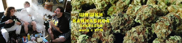 ECSTASY Бородино