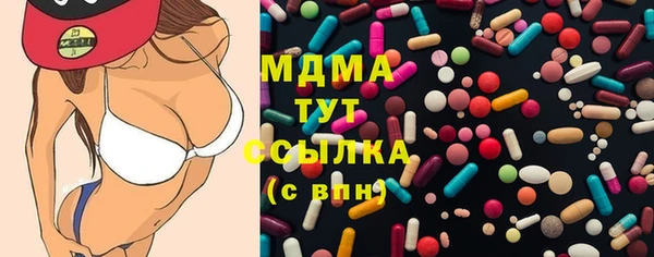 ECSTASY Бородино